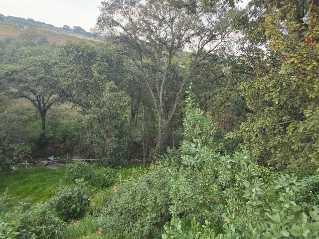 VENTA DE TERRENO 332MTS2 DENTRO DE SAYAVEDRA