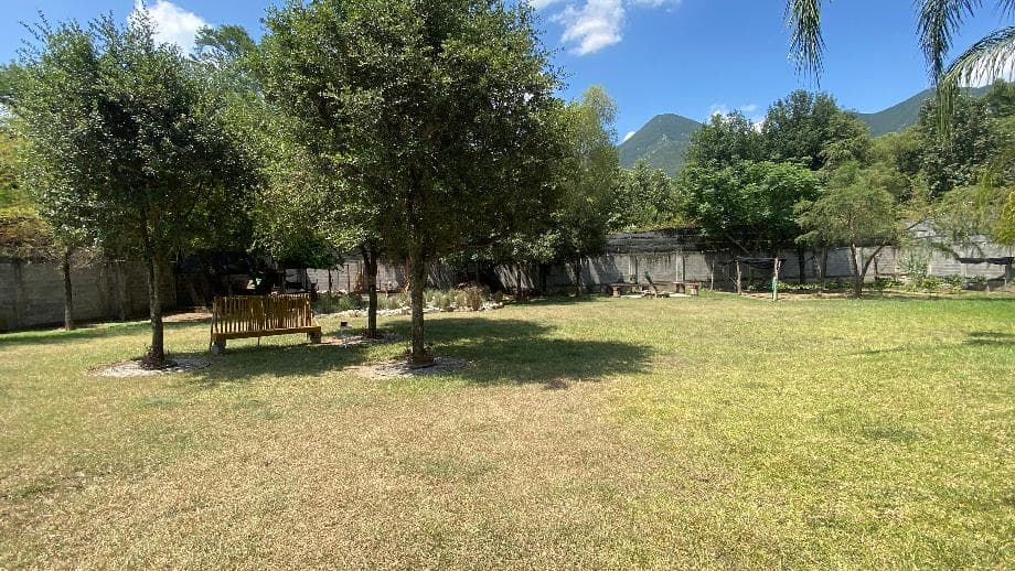 Fotos adicionales