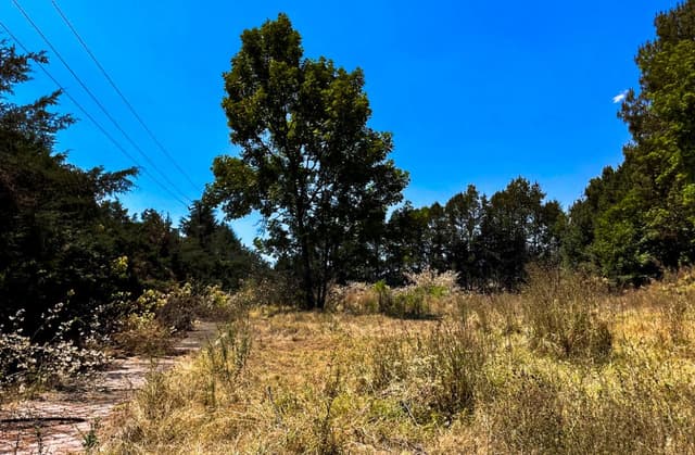 VENTA DE TERRENO VALLE DE BRAVO