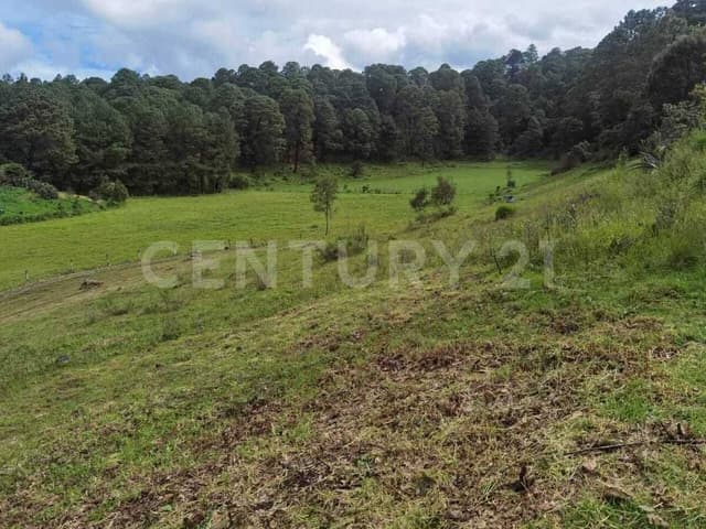 TERRENO EN VENTA EN EL CASTELLANO, ACATITLÁN