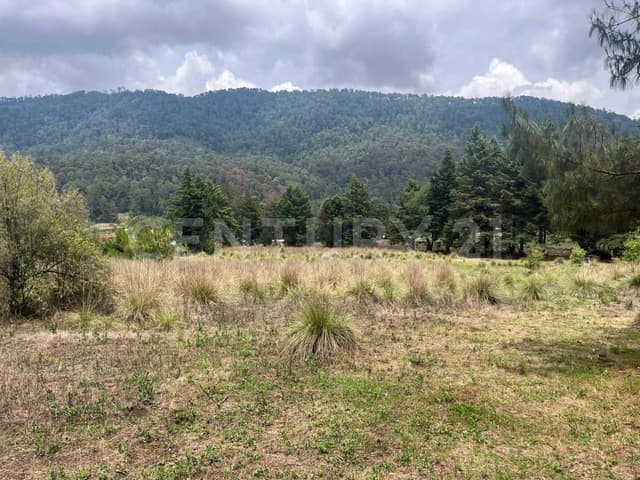 TERRENO EN VENTA, ATESQUELITES, VALLE DE BRAVO