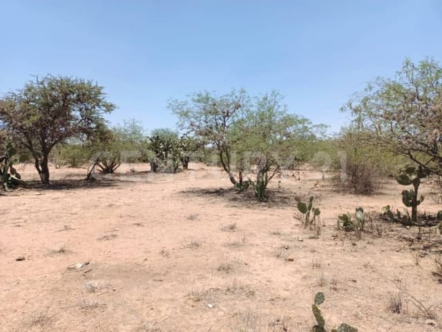 Terreno rústico en Venta en La Colorada, Mexquitic de Carmona, S.L.P.