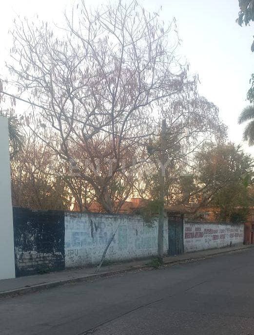 Fotos adicionales