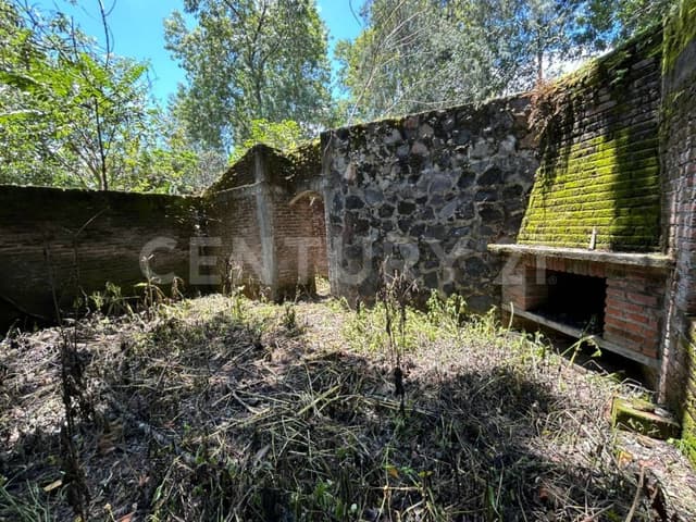 Terreno en Queseria, Montitlan Municipio Cuauhtemoc