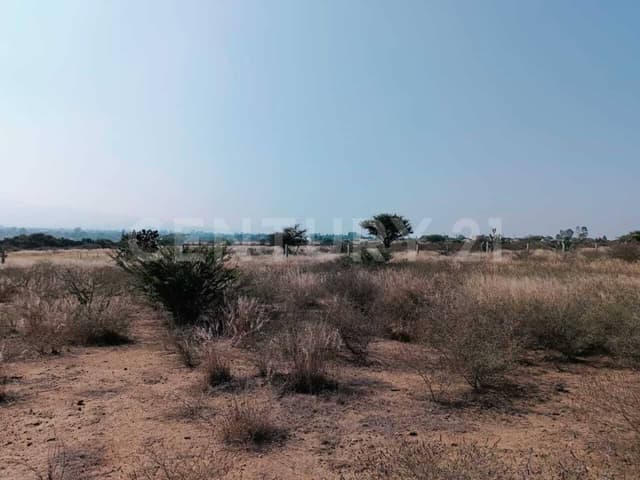 Terreno en Venta en Mamithi, Huichapan, Hidalgo.