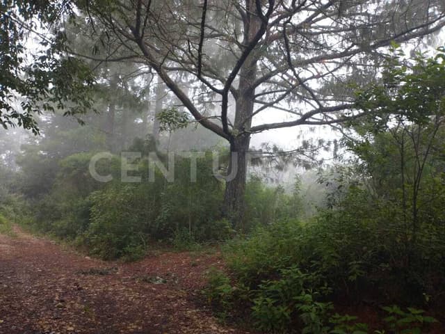 TERRENO EN VENTA, RUSTICO. RANCHERIA EL MANZANILLO, SAN CRISTOBAL DE LAS CASAS