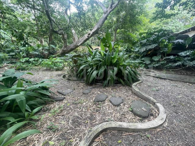 Terreno en el centro de Comala
