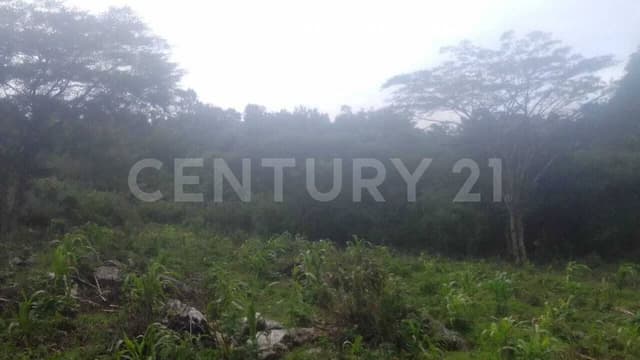 TERRENO EN VENTA EN "EL AGUACATAL" COMUNIDAD SAN JOSE BUENA VISTA SAN CRISTOBAL