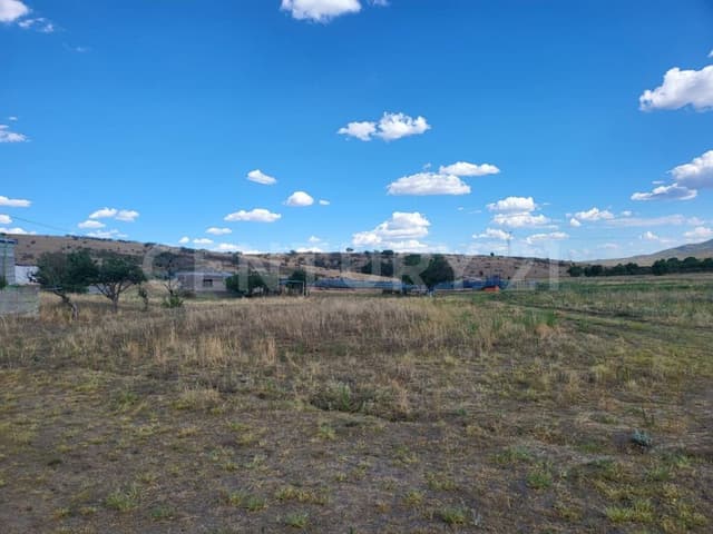 TERRENO EN VENTA LOC. CIENEGA DE TRES CASTILLOS EN CD. CUAUHTEMOC, CHIH.