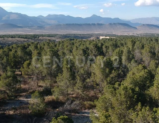 VENTA TERRENO LA ANGOSTURA EN SALTILLO