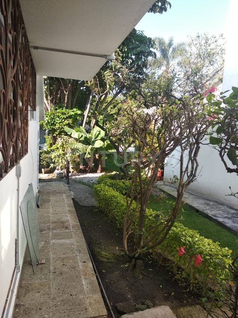 Fotos adicionales