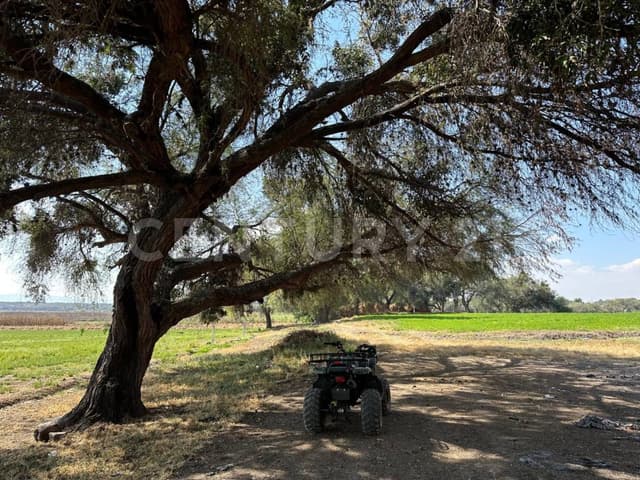 Invierte en donde nació La Leyenda: Iglesia de San Miguel Viejo