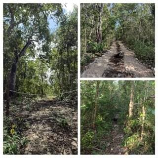 Hermoso Terreno en Uh May paralelo al camino blanco.