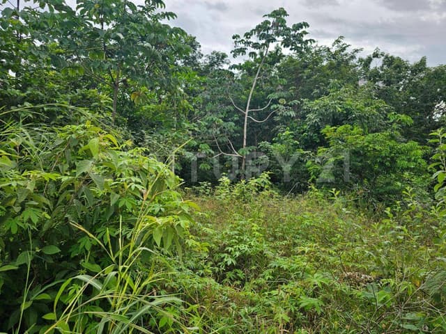 Terreno 2,500 m2 en Venta Región 15 Tulum - La Veleta a 5 min de la playa