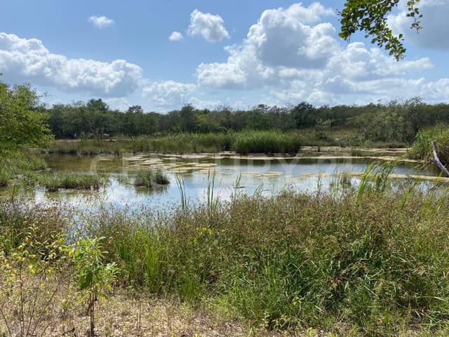 Terrenos en venta en Ruta de los Cenotes Puerto Morelos