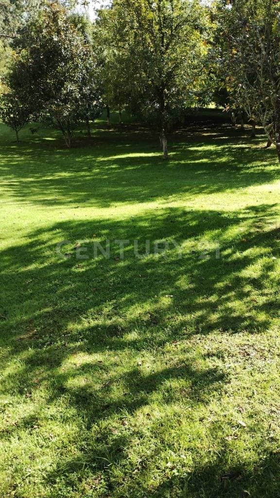 TERRENO EN VENTA EN GODÍNEZ, VALLE DE BRAVO