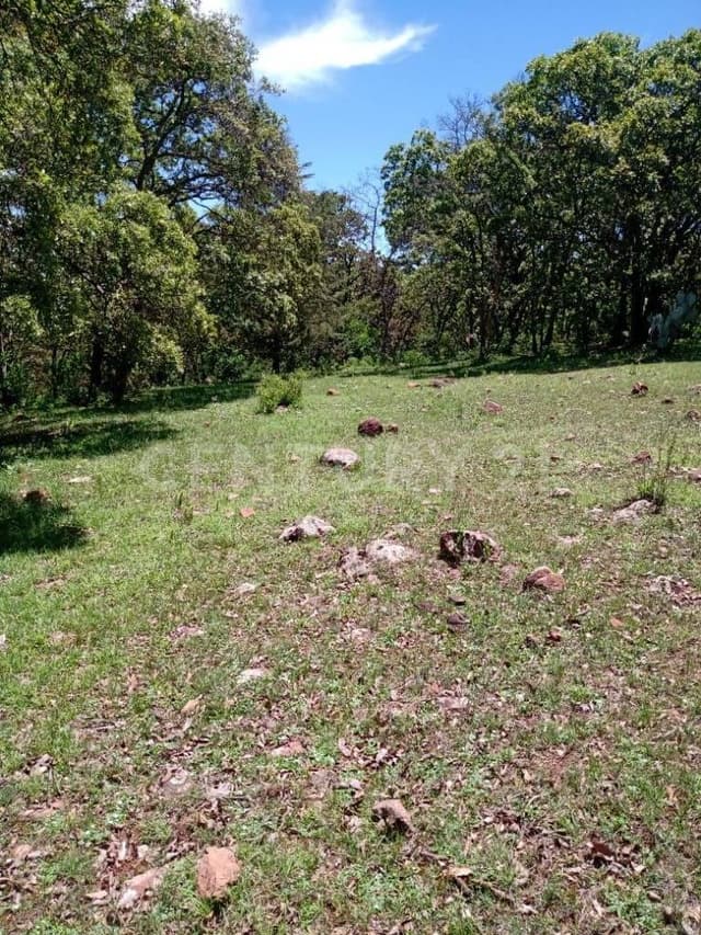 Venta Terreno, Amelaco, Queretaro