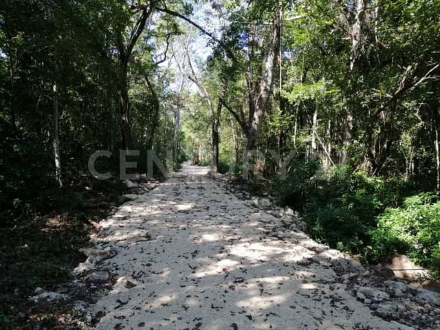 Terreno Carretera Tulum - Coba Km 10
