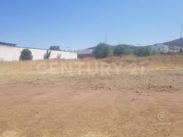 TERRENO EN VENTA EN CIUDAD CUAUHTEMOC CHIHUAHUA, CHIH.