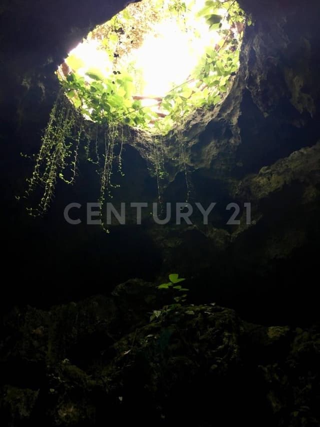 Venta Terrenos Ecoturísticos Escriturados en Playa del Carmen EM03222