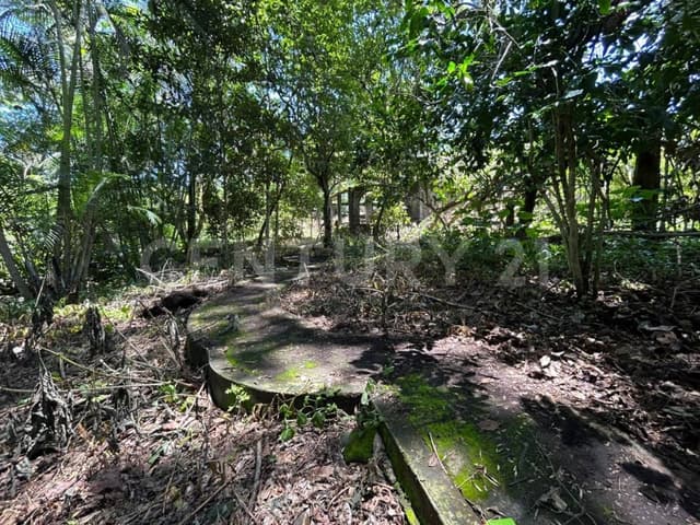 Terreno Campestre en Montitlan