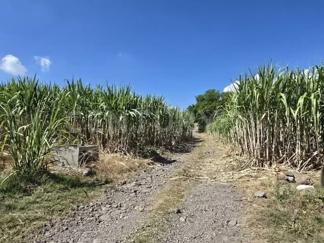 TERRENO PARA INVERSORES