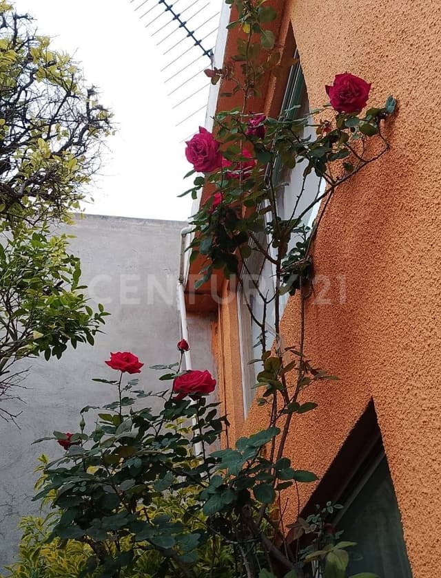 Casa de 2 Niveles en Venta con Jardín Frontal y Balcón en Izcalli Ecatepec