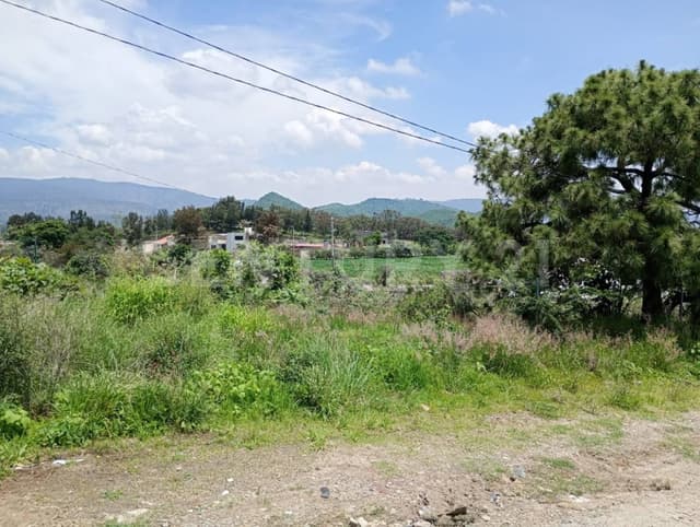 Terreno en Venta en San Aguistin Campestre Tlajomulco