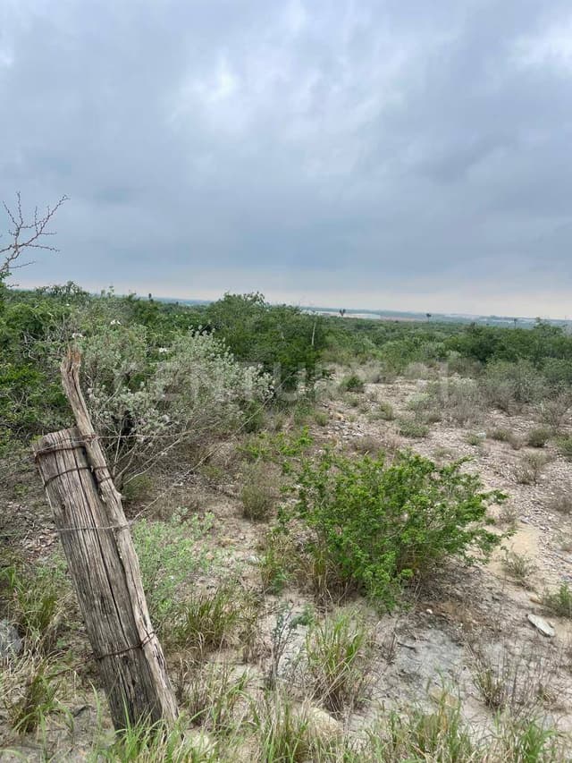 TERRENO EN VENTA EN COL. ZACATECAS EN PESQUERIA NUEVO LEON