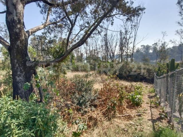 Terreno en Venta en Campestre Del Lago, Cuautitlán Izcalli, Edo. Méx