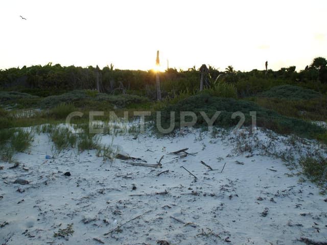 Terreno con Frente de Playa en Sian Kaan Tulum