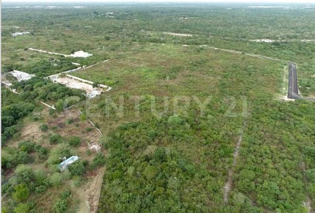 Terreno en venta en Cholul zona norte Merida Yucatan