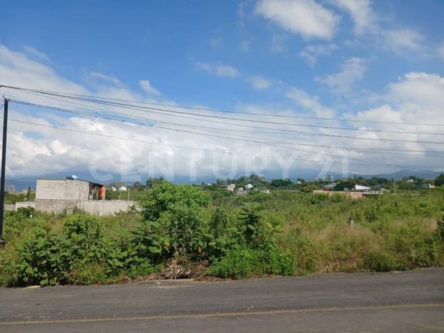 Terreno en Venta Ejido Atlacholoaya Xochitepec Morelos