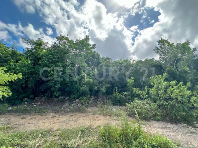 TERRENO EN VENTA EN AV. HUAYACAN, AFUERA DE VIA CUMBRES