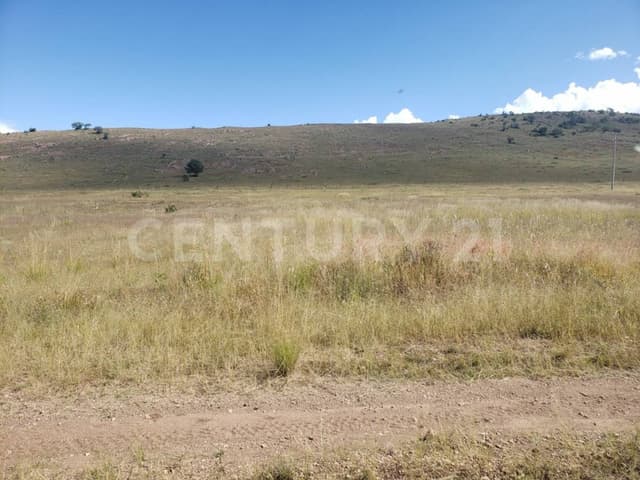 TERRENO EN VENTA ANAHUAC CD. CUAUHTEMOC, CHIHUAHUA.