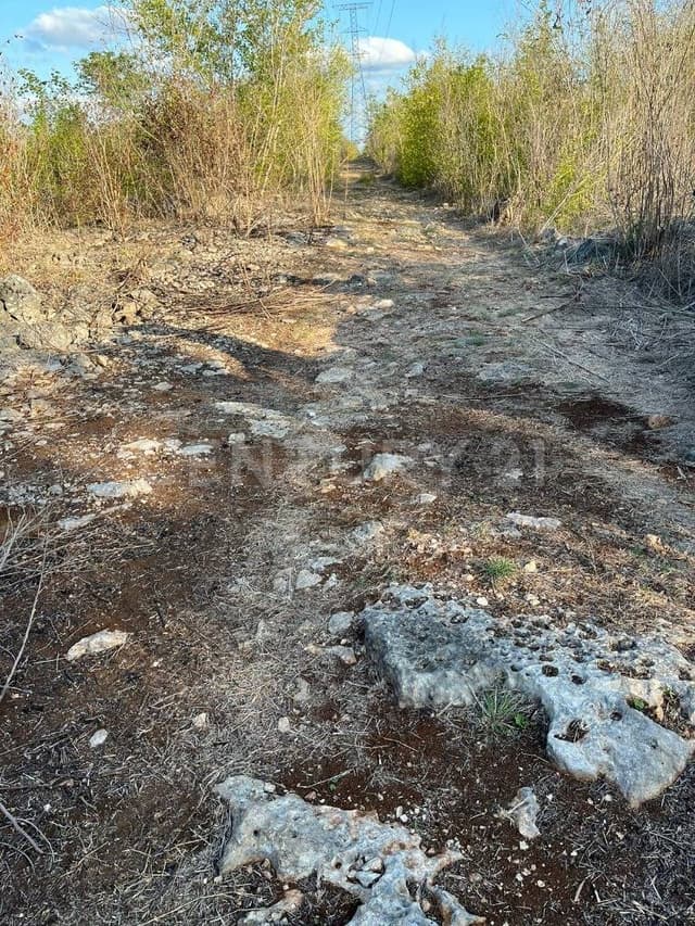 Terreno en Venta en Sitpach, Mérida, Yucatán