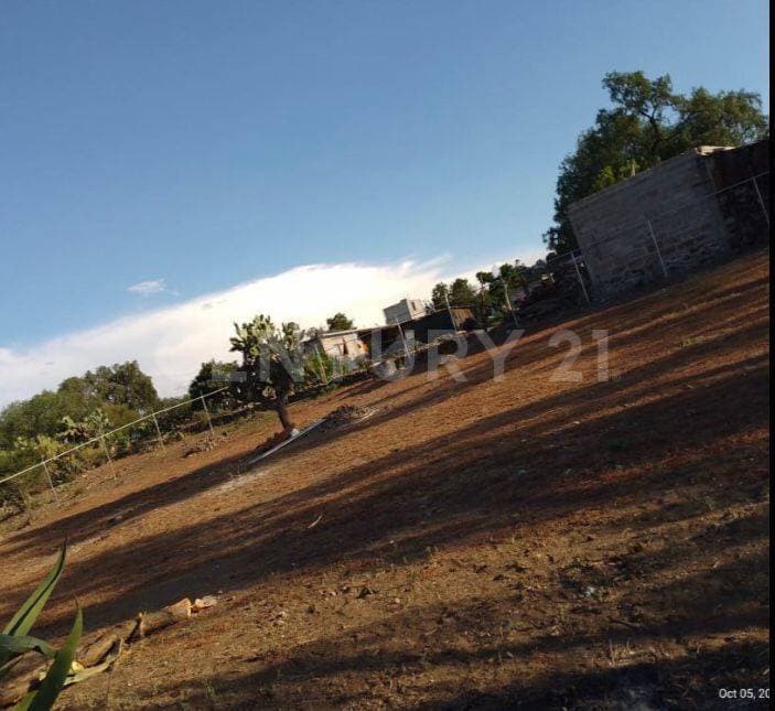 Fotos adicionales
