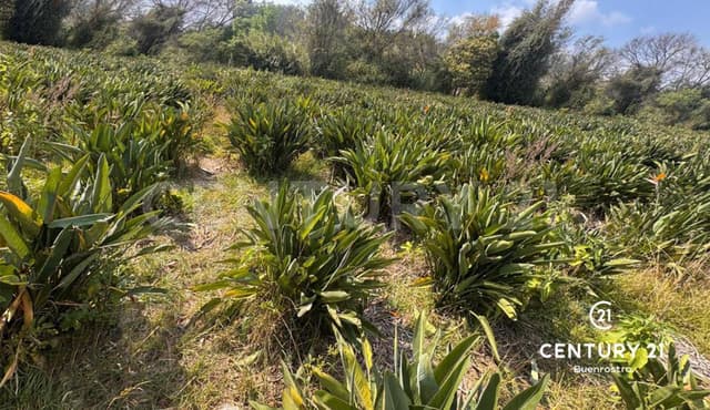 Excelente terreno plano en medio de la naturaleza al lado de un río