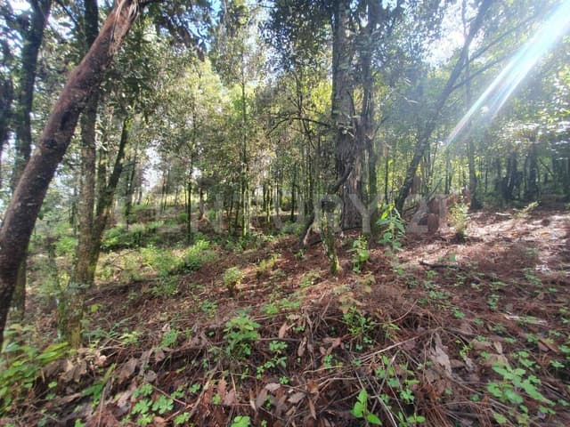 TERRENO EN SAN SIMÓN, ATRÁS DE RANCHO AVÁNDARO, VALLE DE BRAVO