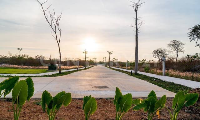 Gaeta: Lotes Residenciales en, Cabo Norte, Merida Yucatan