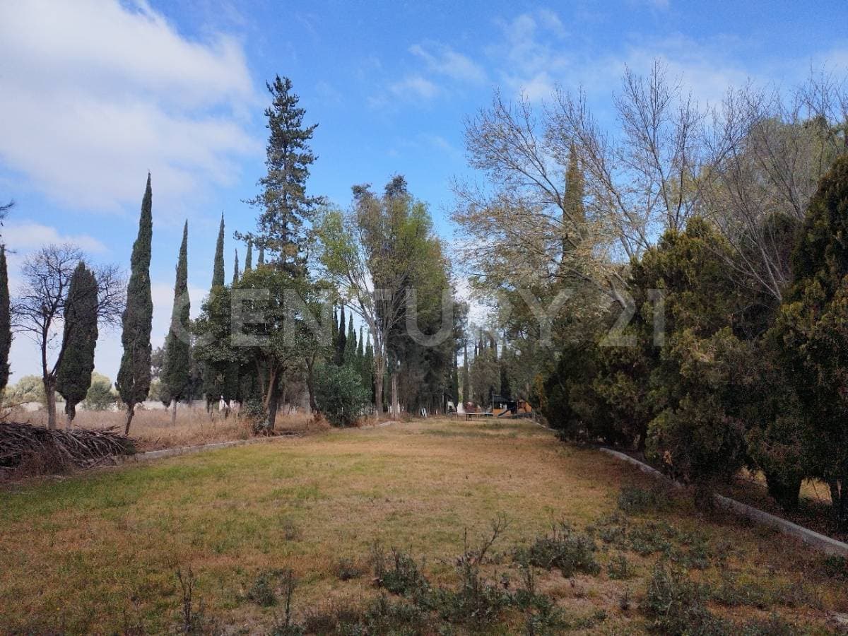 Fotos adicionales