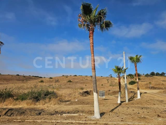 TERRENO EN VENTA EN LOMAS DE CANTAMAR, ROSARITO BAJA CALIFORNIA.