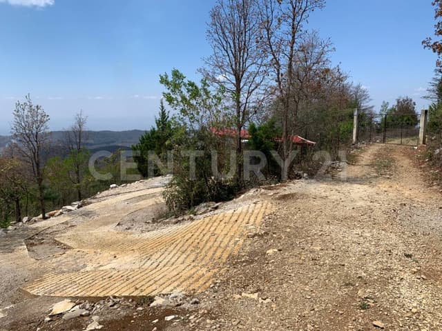 TERRENO EN VENTA, COLONIA LA CANDELARIA, COMUNIDAD EL MANZANILLO, SAN CRISTOBAL