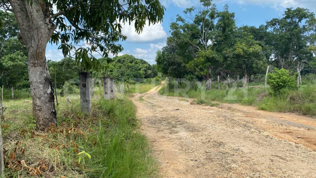 Fotos adicionales