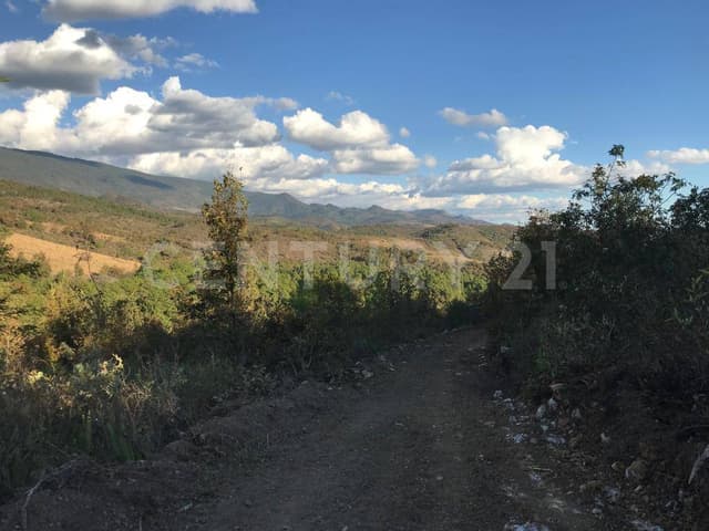 TERRENO RUSTICO EN VENTA EN LA LOCALIDAD EL MANZANILLO