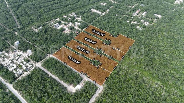 Terreno en Venta en Tulum, Quintana Roo – 4 Hectáreas con Densidad H4
