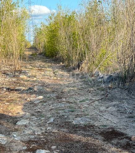 Terreno en Venta en Sitpach, Mérida, Yucatán