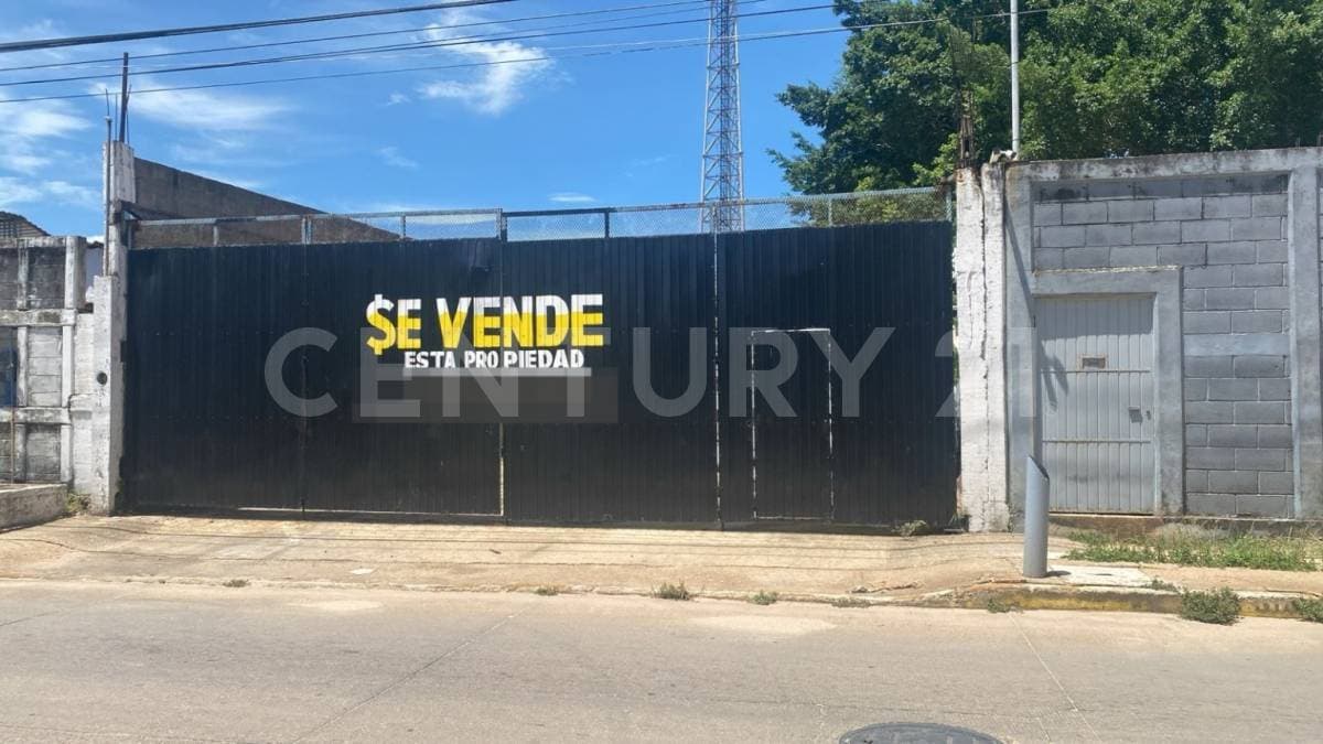 Fotos adicionales