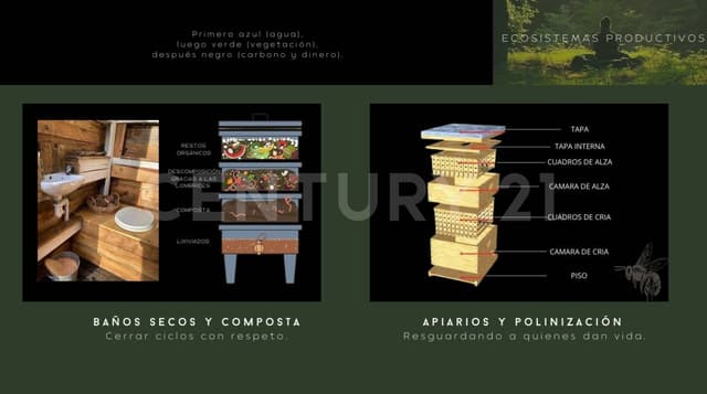 Terreno en Venta de Inversión Ecológica en Cancún, Quintana Roo SVM1625