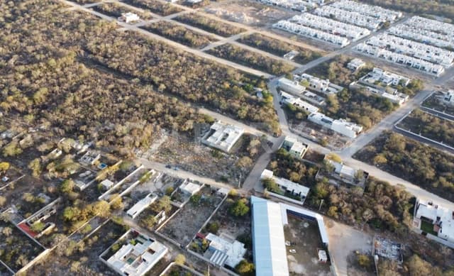 TERRENO APTO PARA DESARROLLO EN VENTA EN DZITYA MERIDA YUCATAN